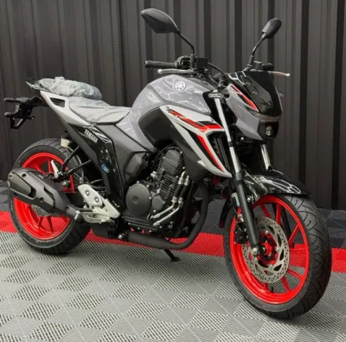 Yamaha Fazer25 250 connected (25/26)