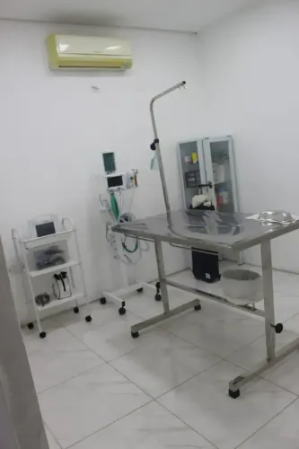 Clinica Veterinária com centro cirúrgico