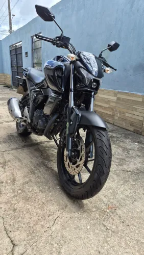 Fz15 2024
