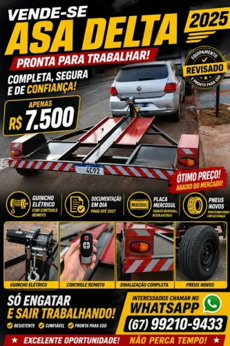 Asa Delta 2025 Completa - Pronta pra Trabalhar - R$7.500