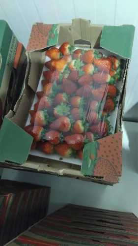 Morango 1kg