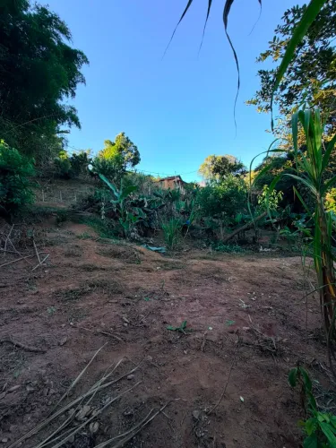 Lote na roça