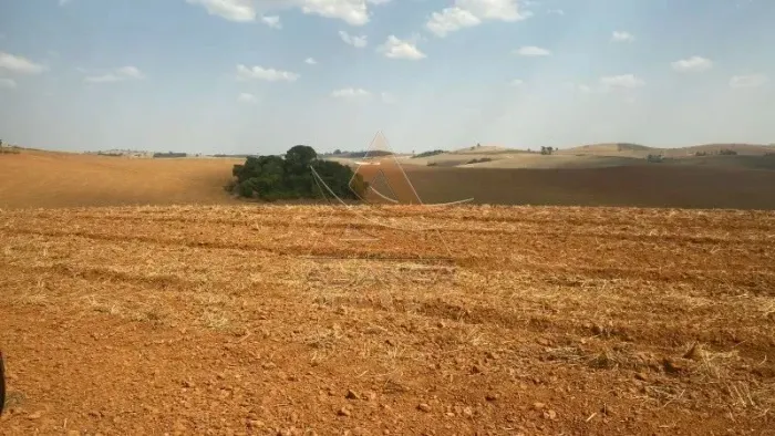 Fazenda - São João da Mata - Zona Rural