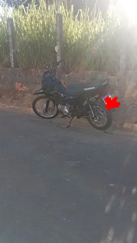 Pop 110 ano 2025