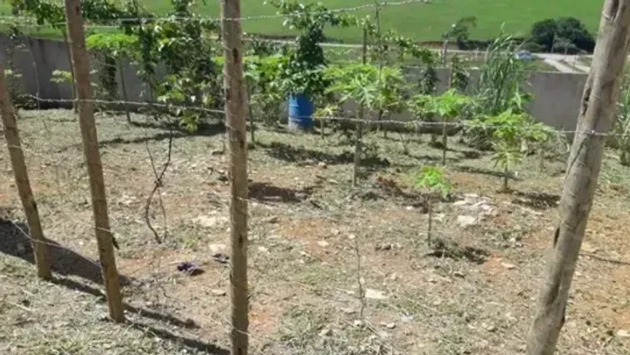 Terreno no Horto Nações - Murado!!