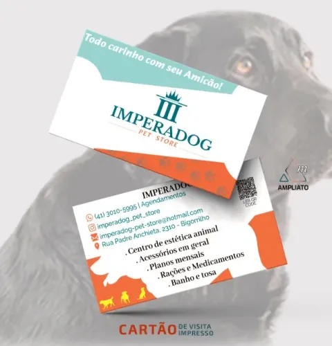 Cartão de visita Impresso - Ampliato Design
