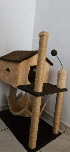 Casa para Gatinhos