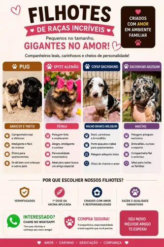Filhotes
