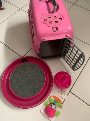 Cx organizadora e acessórios p/ gatos