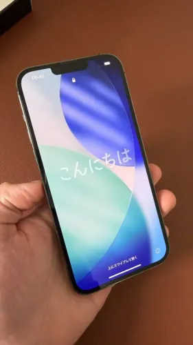 Iphone 13 Pro Max 256