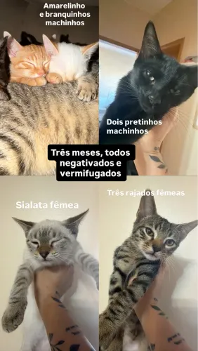 Doação responsável 