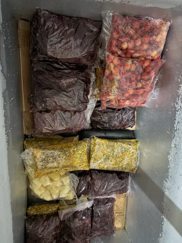 Frutas congeladas