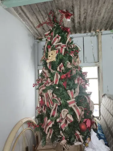 Árvore de Natal