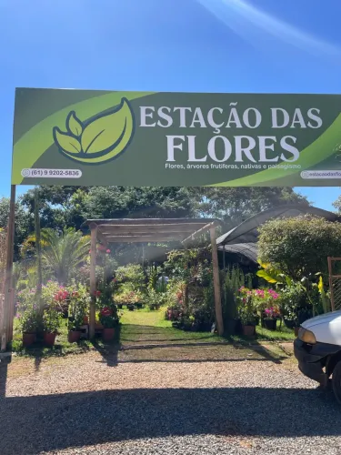 Vende-se viveiro de plantas 