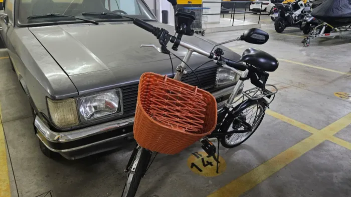 Bike lola