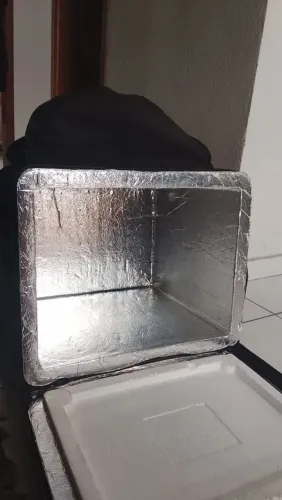 BAG ENTREGADOR