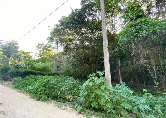 Terreno à venda com 1 hectare em Guaramiranga! R$ 230.000,00