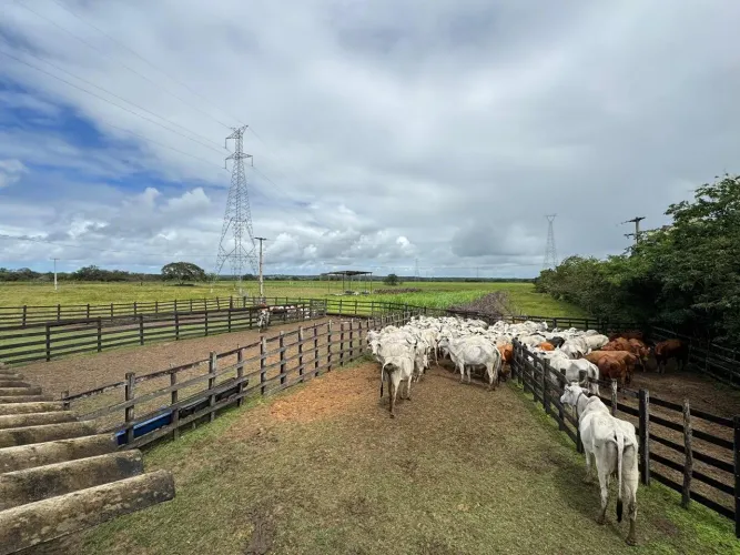 Fazenda para Venda em Penedo, Zona Rural