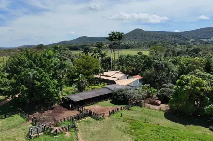FAZENDA 37 ALQUEIRES EM PIRENÓPOLIS | RIO DAS PEDRAS | PECUÁRIA E LAZER |