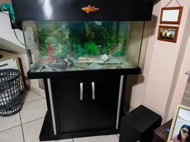Aquario com móvel completo