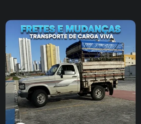 Frete , mudança e carga viva com preço bom.