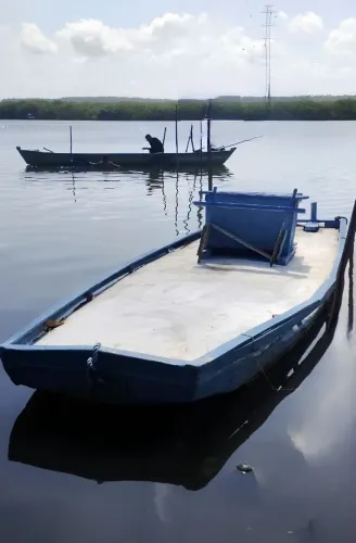 Vendo ou troco Barco jangada para pesca ou ppasseio