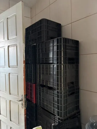 Caixa para Armazenamento e Transporte de Frutas e Verduras