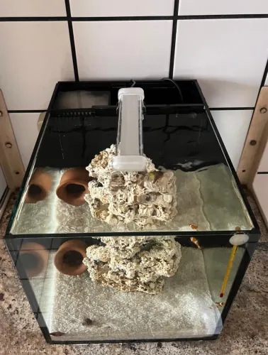 AQUÁRIO NANO 36 LITROS