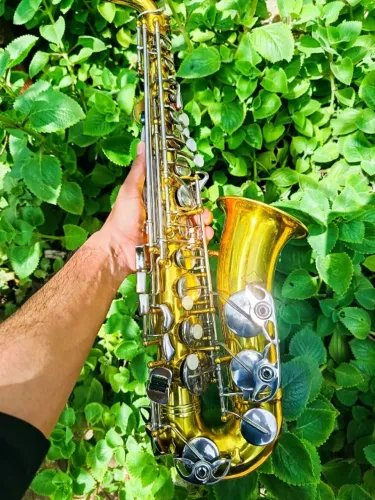 Saxofone Alto Weril Master Belíssimo