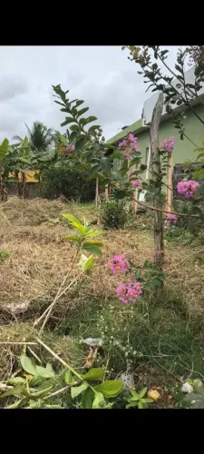 Terreno de 20 x 40 em cabo de santo agostinho