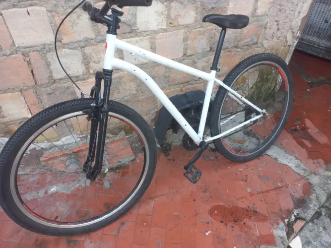 Bike aro 29