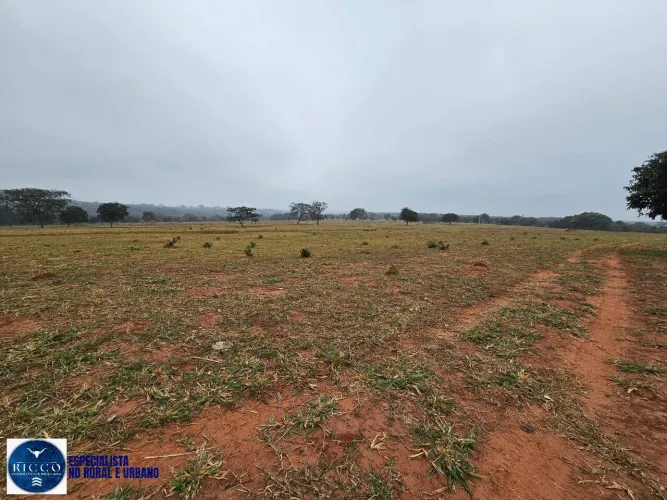 Fazenda à Venda em Ituiutaba-MG | 363 hectares com Estrutura Completa