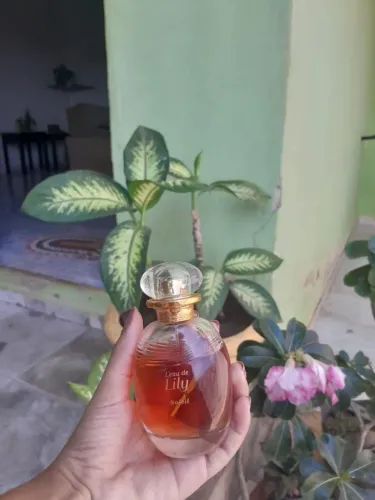 Perfume