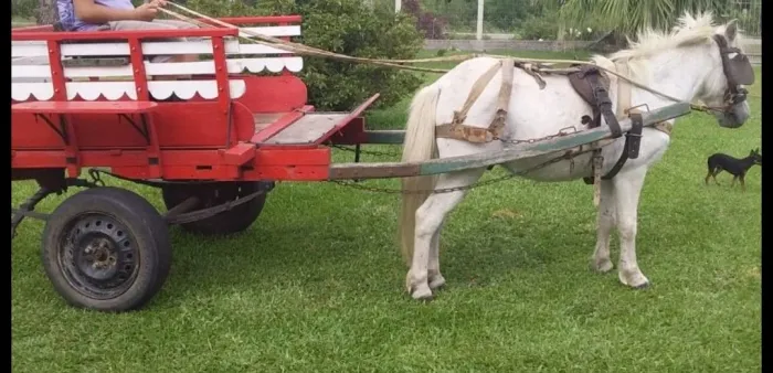 VENDO CHARRETE COM CAVALO