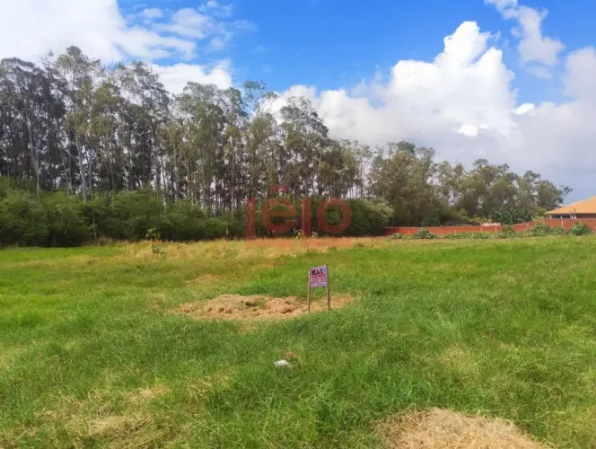 Villa Verde / Terra Bella / Chacara / terreno / Rodovia Deputado Silvio Barros