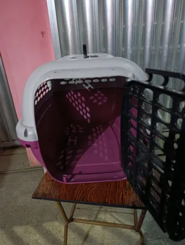 Casinha animais