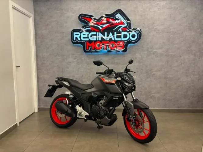 FZ15 ABS - 2025 - CINZA