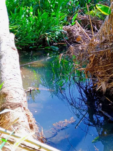 Chácara NOVA Veneza com água escriturada
