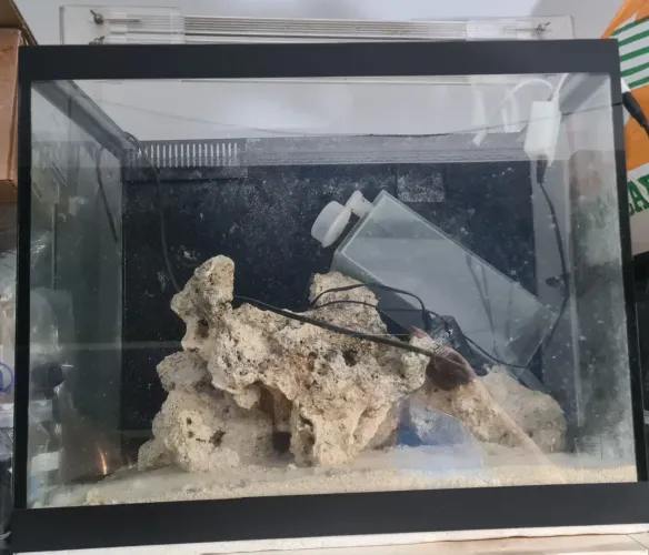 Aquario Marinho 80 lt