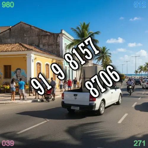 Frete rápido em Pedreira e Marco, qualidade e pontualidade garantidas!