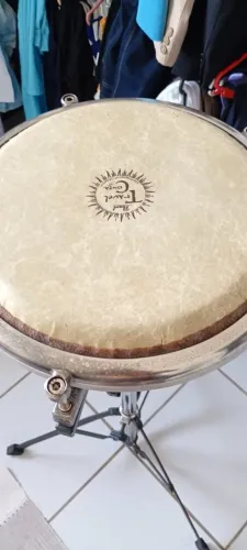 Congas compacta 