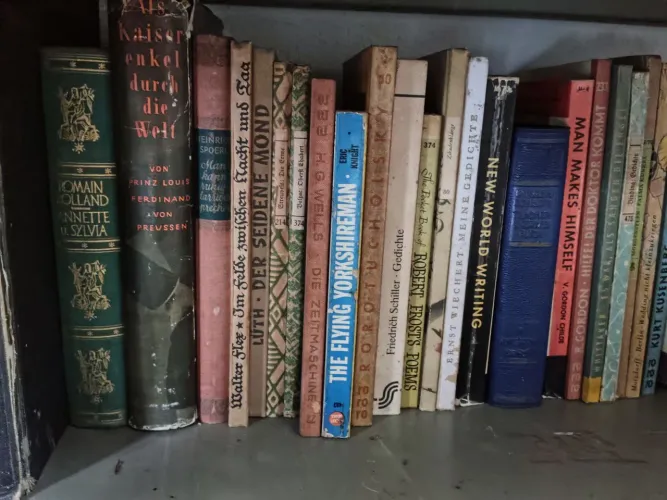 Livros antigos alemães