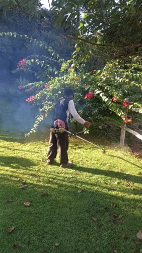 Roçagem de lotes 