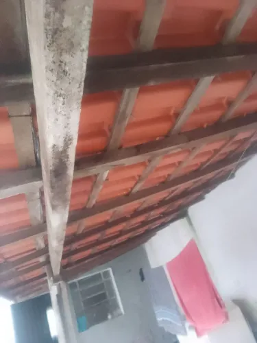 Vende se 300 telhas Romanas mais ripas e 11 caibros de 4 metros tudo por 350 reais semi n