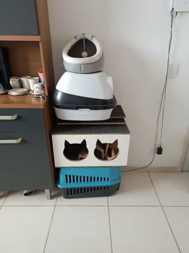 Tudo para o seu gatinho