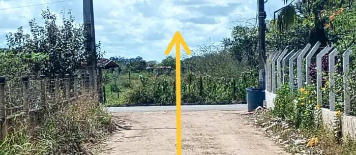 VENDO 2 TAREFAS E MEIA NO DISTRITO DA MATINHA