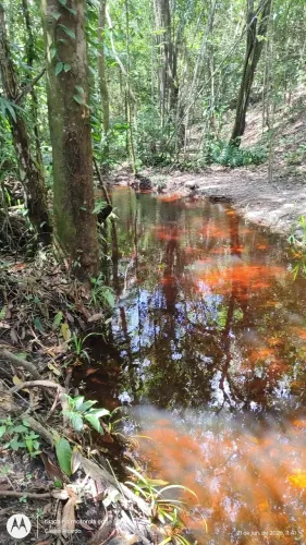 Terreno com rio no fundo 