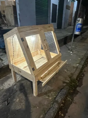 Viveiro para codornas e pintinhos 