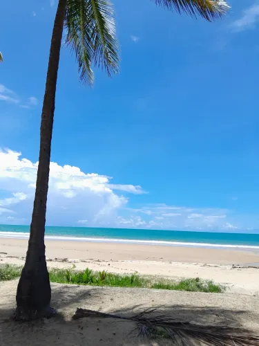 ÁREA À BEIRA MAR NO LITORAL SUL DE ALAGOAS