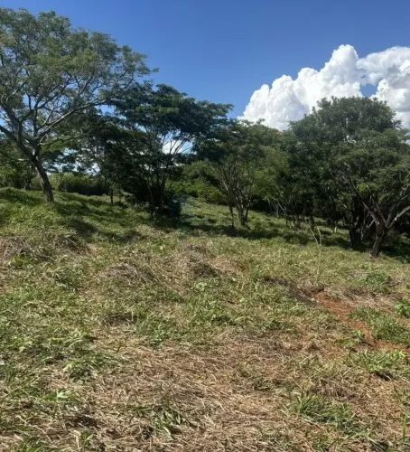 Área rural de 131,98 hectares à venda - Ribeirão Bonito